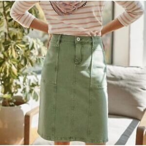 J.Jill Denim Plus Size 20 Sage  Green Utility Skirt